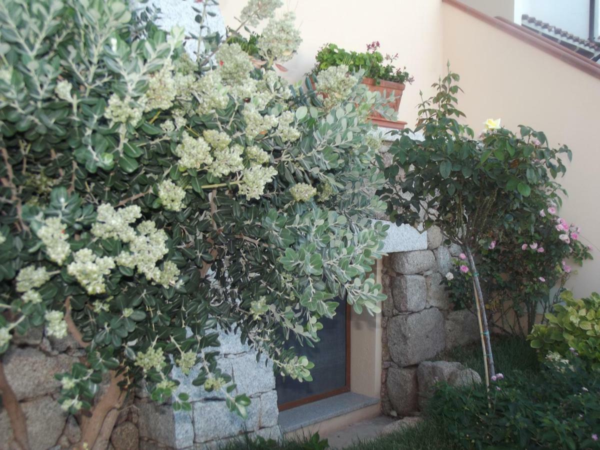 Casa Elena Apartment Cala Gonone Exterior photo